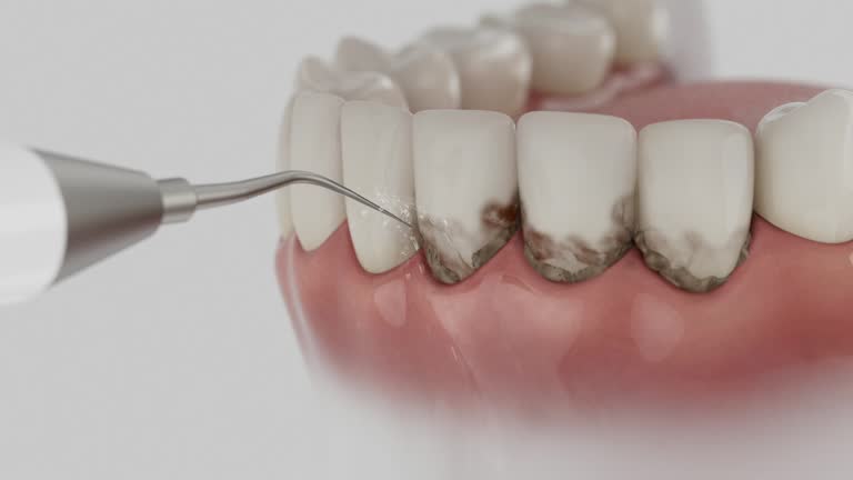 Reliable Dental contractor in Newington Forest, VA by Dentist Open Now
